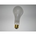 General Service Light Bulb